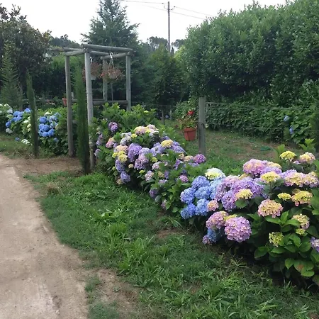 Mit Grill, Terrasse Und Garten 펜션 Várzea Ovelha e Aliviada